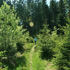 Kniebis 2009 Bild 10